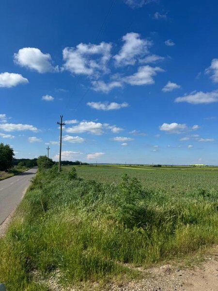 Slobozia, judetul Giurgiu, teren de vanzare, 5.000 mp